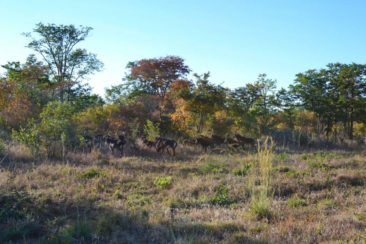 Chobe Sunset Chalets Lesoma Exterior foto