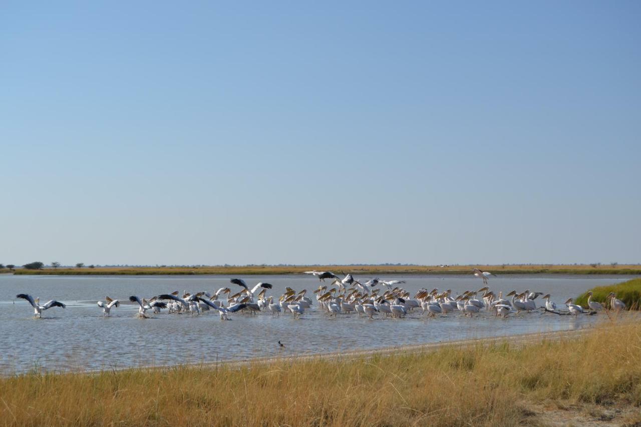 Chobe Sunset Chalets Lesoma Exterior foto
