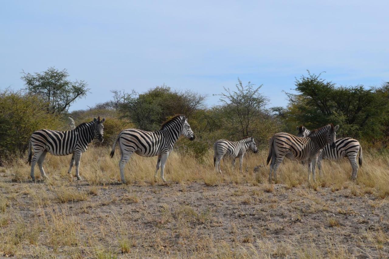 Chobe Sunset Chalets Lesoma Exterior foto