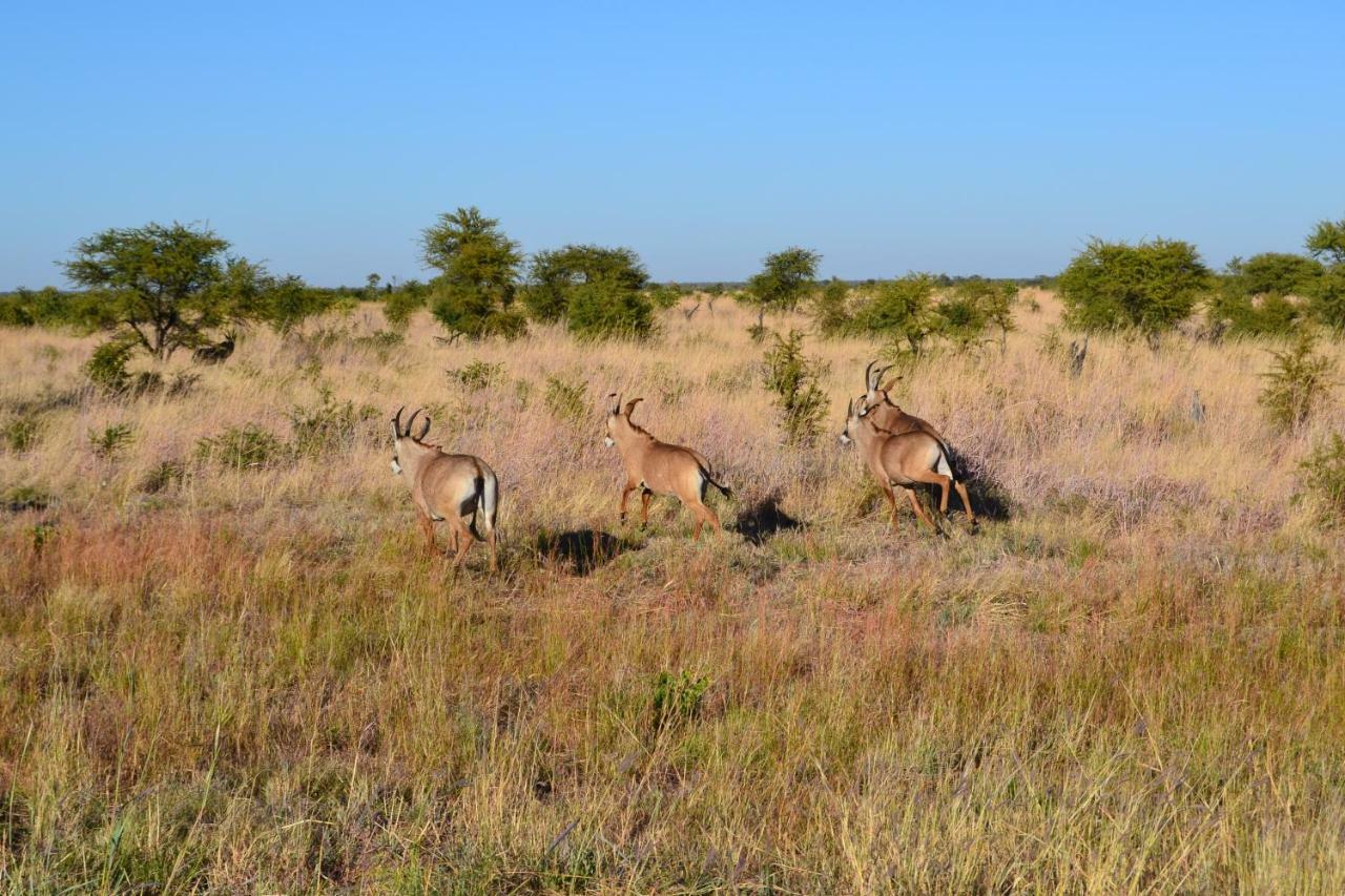 Chobe Sunset Chalets Lesoma Exterior foto